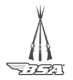 BSA